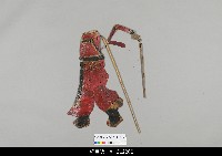 藏品(中國湖北皮影戲偶身)的圖片